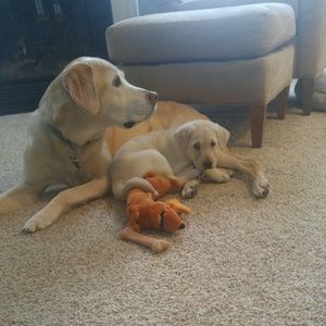 Meet your Posher, Colleen